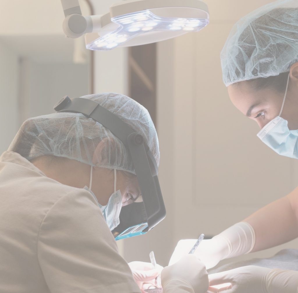 elena medico trasplante capilar alejandria clinica valencia Kopie