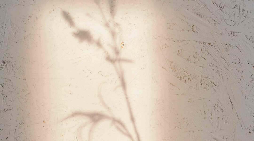 trasplante capilar-mikhail-nilov-6932280_11zon_11zon